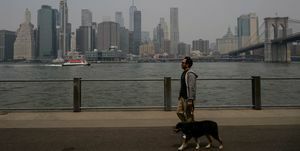 мъж разхожда кучето си по време на лошо качество на въздуха