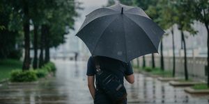 изглед отзад на интелигентен причинно-следствен мъж, който държи чадър и се разхожда по парка в дъждовен градски град