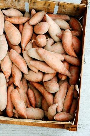гледайки надолу към дървена кутия, пълна с наскоро събрани сладки картофи, изложени на фермерски пазар