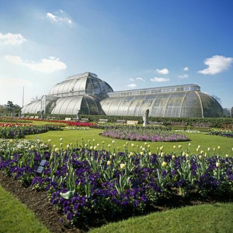 Консерватория Palm House и цветя Kew Gardens