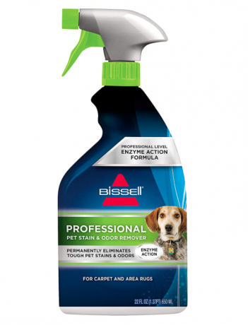 BISSELL Professional Stain & Odor