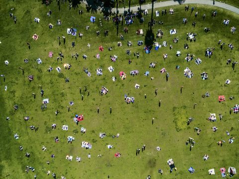 Изглед отгоре на хора в градски парк през летен ден, седнали, стоящи, на килими за пикник.