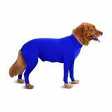 Shed Defender (Royal Blue)