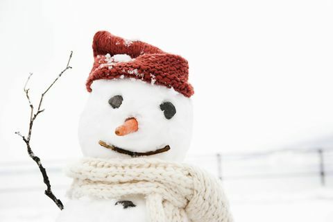 снежен човек, носещ шапка и шал с нос от моркови и ръце