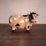 Краве акцентна светлина