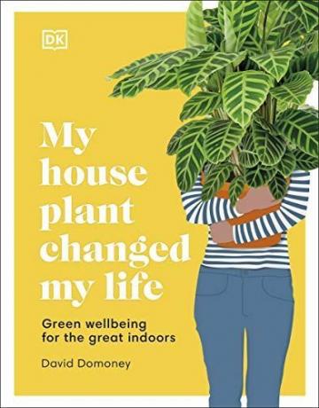Моето домашно растение промени живота ми: Зелено благополучие за страхотно закрито
