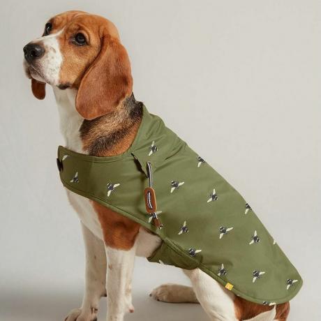 Маслиненозелено восъчно палто за куче