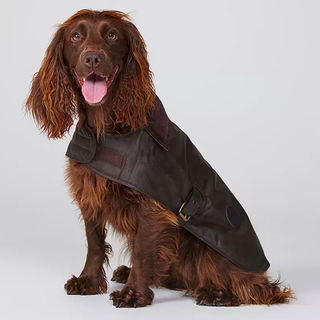 Восъчна палто за кучета Barbour, тъмнокафява