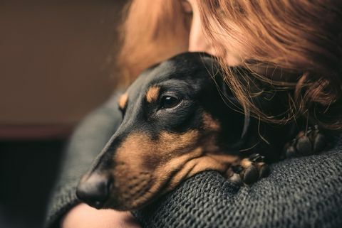 Портрет на червенокоса жена, която прегръща сънливо черно куче, патица.