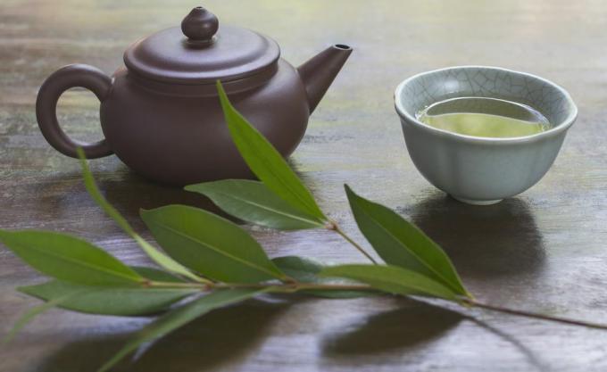 Натюрморт с керамичен чайник, чаша зелен чай и клон от чаено растение
