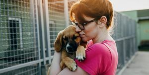 млада жена осиновява куче от приют