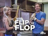Flip или Flop