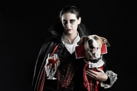 млада жена с чаша червена напитка и нейното домашно кученце, облечени в същия костюм на дракула