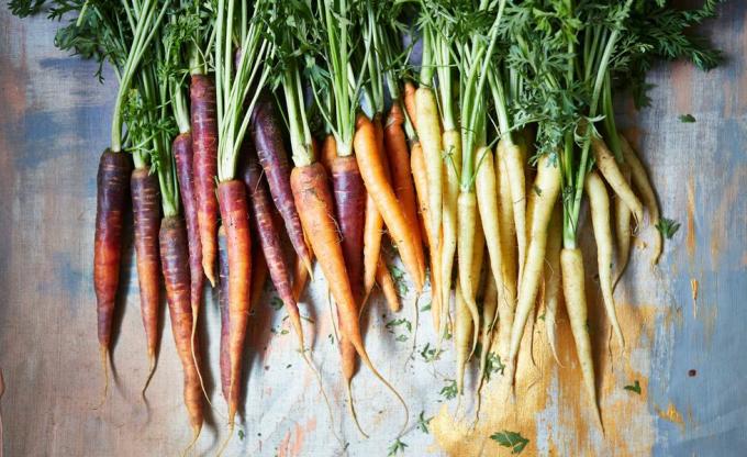 Цветни наследствени моркови