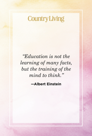 цитат на алберт айнщайн