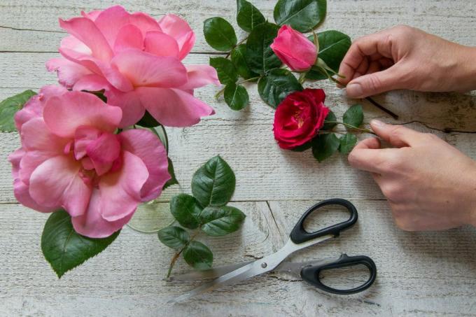 изрязано изображение на цветар, който държи роза с цветя на масата
