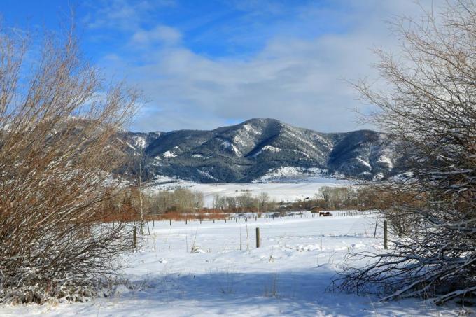 зимна гледка към планините Бриджър, видяна от Бозман Монтана снимка от Дон и Мелинда КрауфордукГрупиране на универсални изображения чрез Getty Images