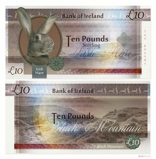 Снимка на банкнота от ирландски заек