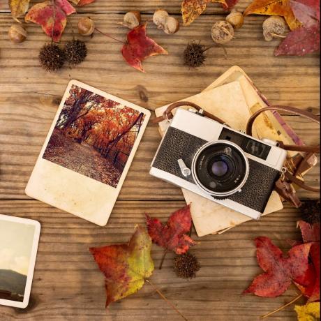 Фотоалбум носталгия през есента