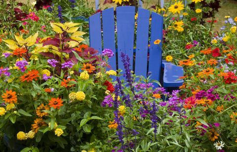 Как да подготвите градината си за пролетта Стол в средата на цветните цветни растения