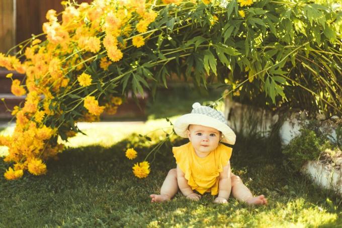 момиченце с шапка за слънце седи в градината под голям жълт храст с цветя