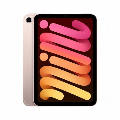 iPad Mini (6-то поколение) (256 GB, WiFi+клетъчна)