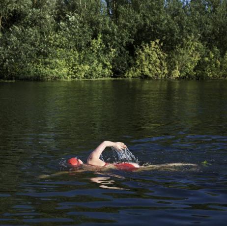 Обединеното кралство, Бедфордшър, Грейт Барфорд, река Great Ouse, женски див плувец, плуващ в река