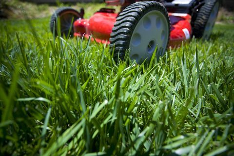 Косене на тревата: Малка дълбочина на полеви изстрел на предната част на косачката върху неподправена тревна площ.