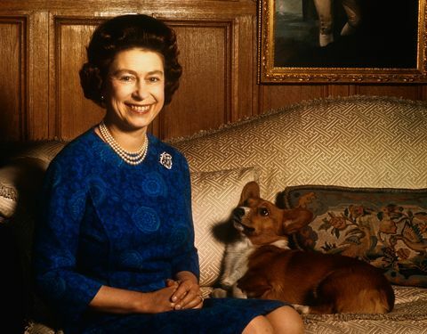 Кучето на Меган Маркъл се вози с кралица Елизабет до Уиндзор