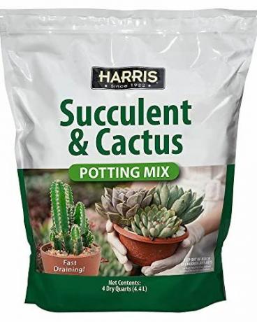 Харис Премиум смес за саксии за сукуленти и кактуси