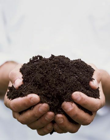 компост почва